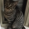 の写真