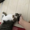 の写真