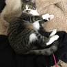 の写真