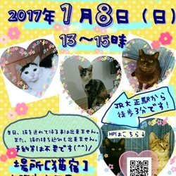 にゃんこ譲渡会@nekoyado!!vol.2