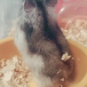 ありがとうございました サムネイル5