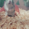 ありがとうございました サムネイル7