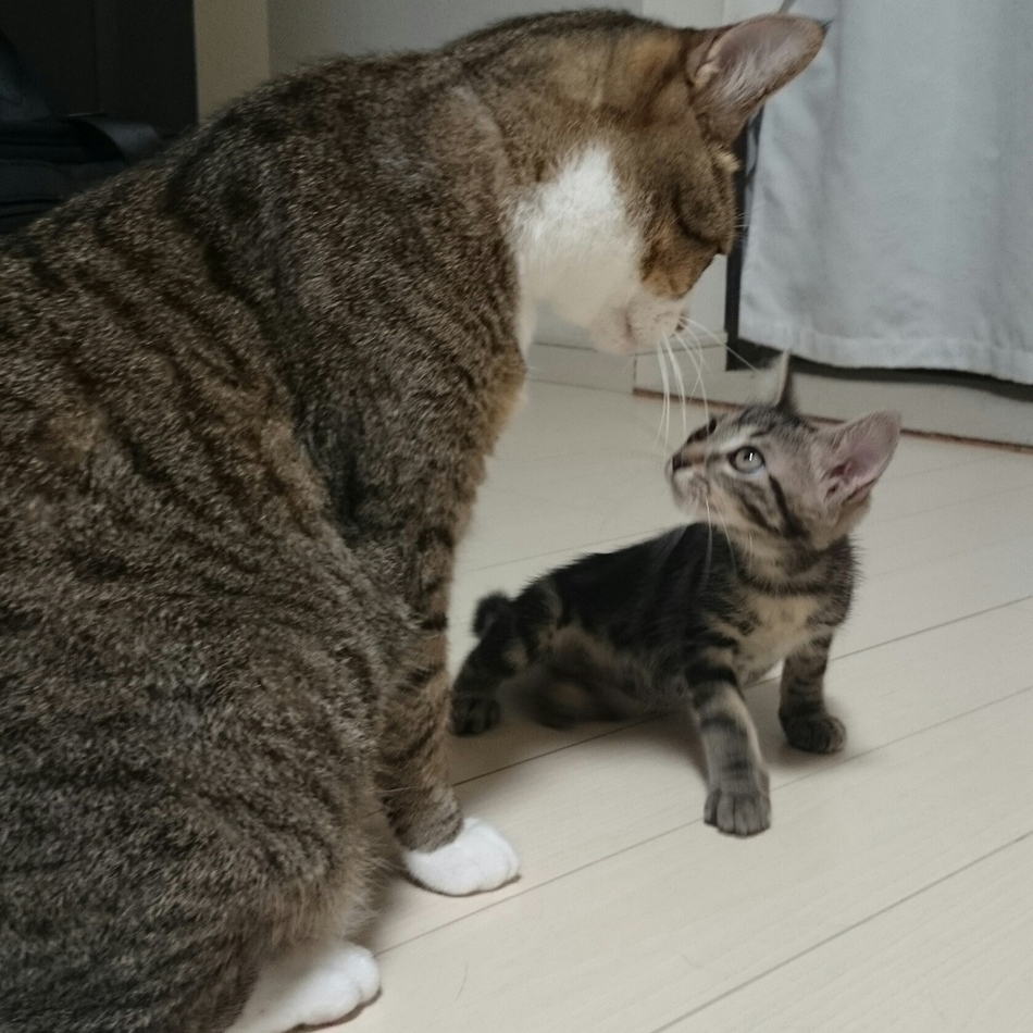 クレアのカバー写真