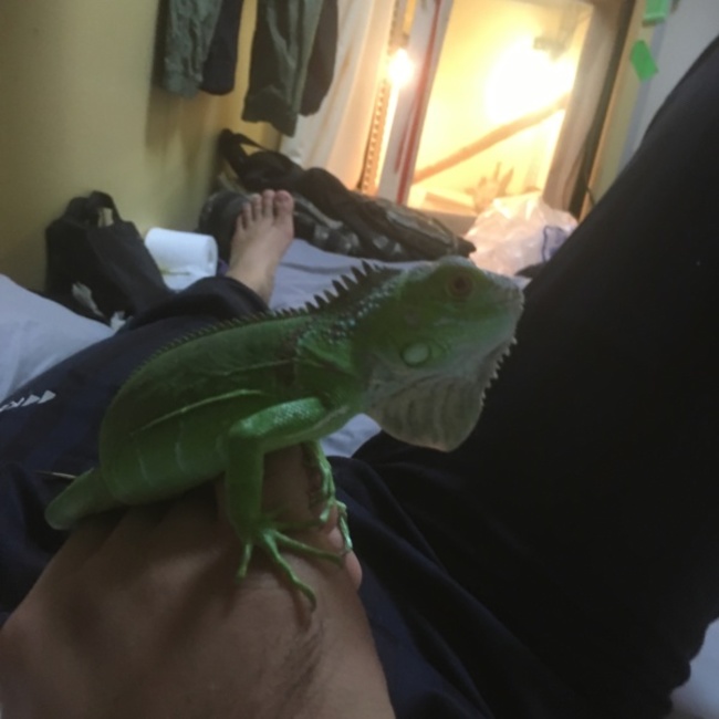 xxだいきxxのカバー写真
