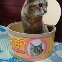 れお