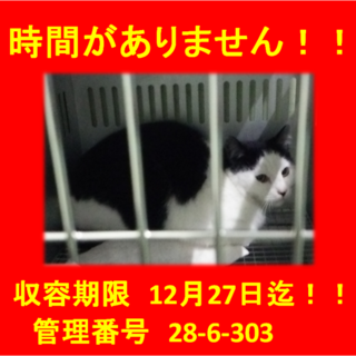 里親決定！！家族ができました(*´▽｀*)