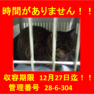 里親決定！！家族ができました(*´▽｀*)