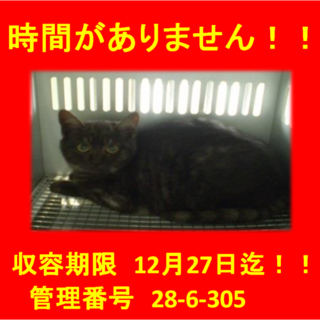 里親決定！！家族ができました(*´▽｀*)