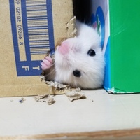 てん