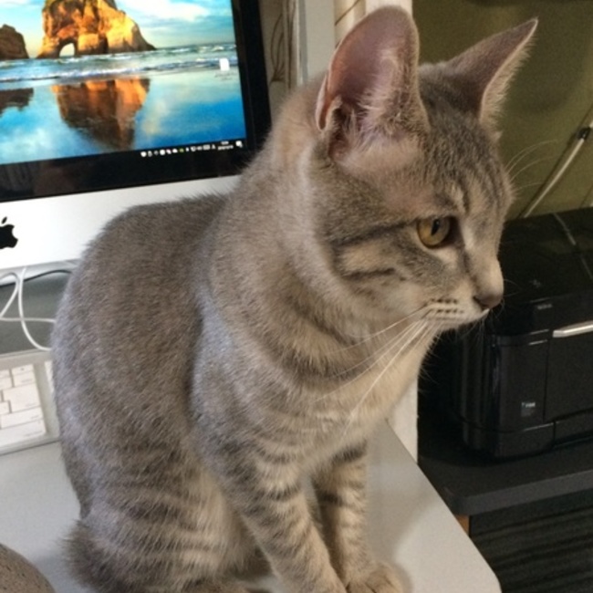 造田のカバー写真