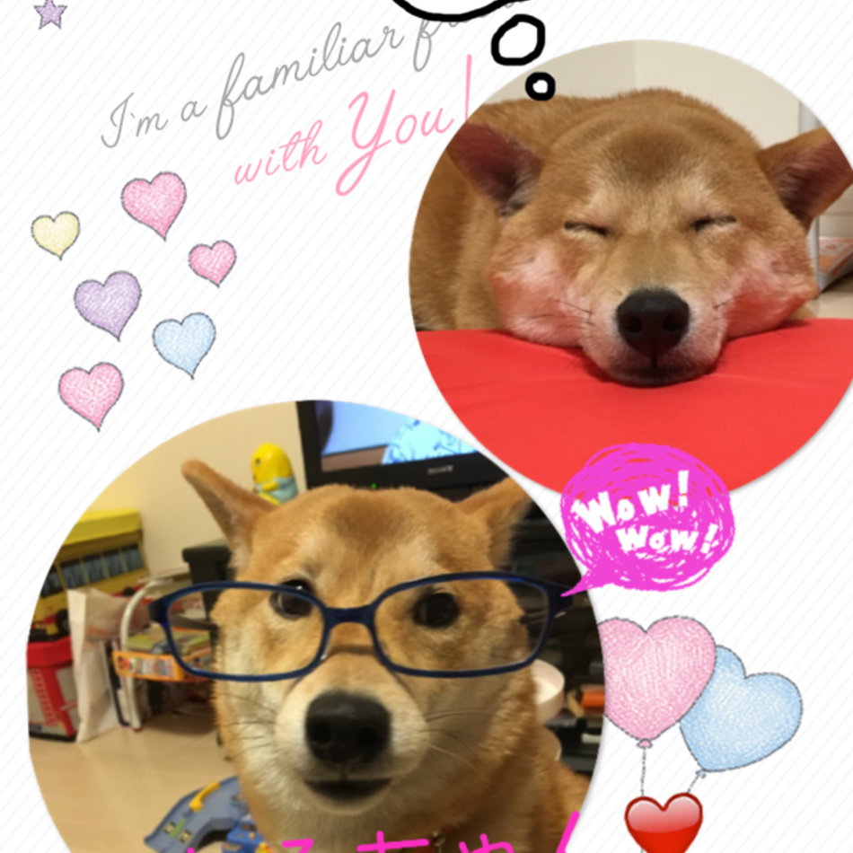 しろのカバー写真