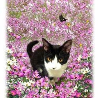 ありがとうございました(^o^)