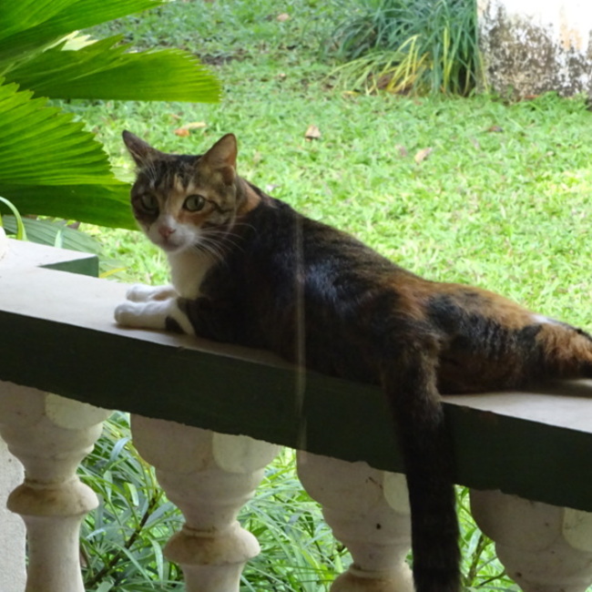 gergebestのカバー写真