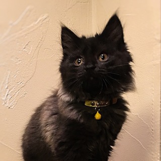 くまモンちゃん