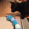どうしても好きになれないおもちゃ