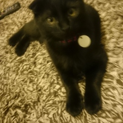 今年もあと少し！