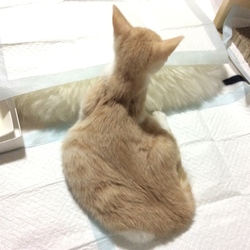 「12/22現在」サムネイル2