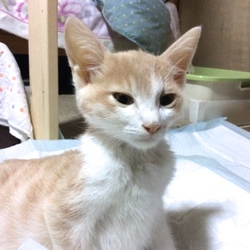 「12/22現在」サムネイル3