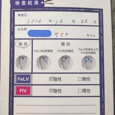 の写真