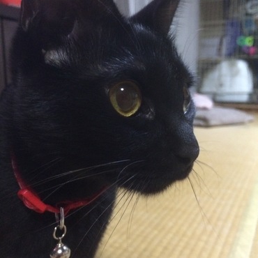 ベストショット(^^)かわいいお顔がやっと撮れた。