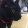 ベストショット(^^)かわいいお顔がやっと撮れた。