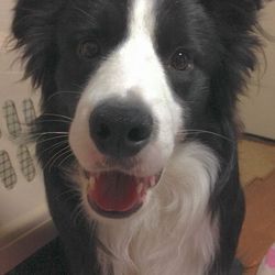 今年もあと１週間