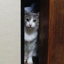 「今年もあと１週間」サムネイル2