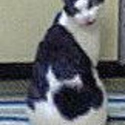 「今年もあと１週間」サムネイル3