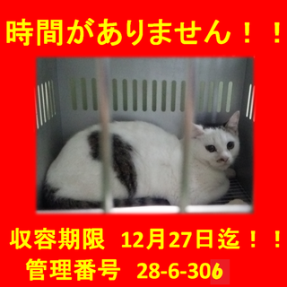 里親決定！！家族ができました(*´▽｀*)