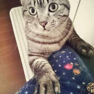 こわがりぎんちゃん