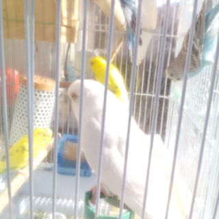 沢山のご応募有難う御座いました、