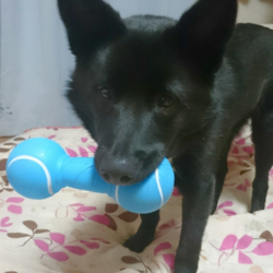 「クリスマスプレゼント！！」サムネイル3