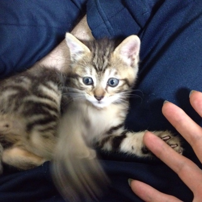 とみながkjのカバー写真