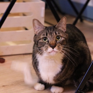 甘えられる存在がいる事を知ってほしい