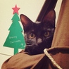 メリークリスマース(*´﹃｀*)