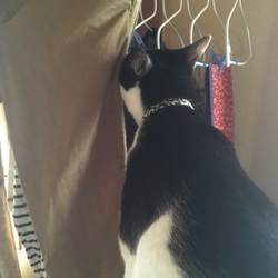 柔軟剤の匂いが大好き♡