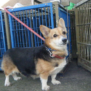 2017年はいっぱい愛されたいです　