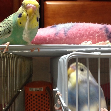 ラムネの写真