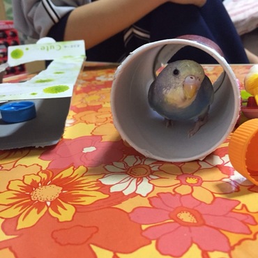 の写真