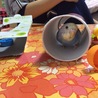 の写真