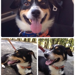 望くん里親だより～12月27日編その1