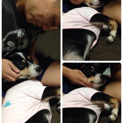 「望くん里親だより～12月27日編その1」サムネイル3