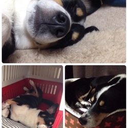 望くん里親だより～12月27日編その2