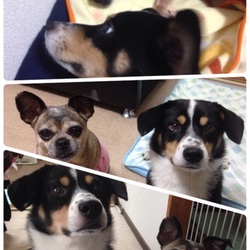 「望くん里親だより～12月27日編その2」サムネイル2