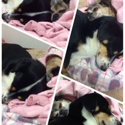 「望くん里親だより～12月27日編その2」サムネイル3