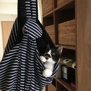 食いしん坊の男の子♪チョビヒゲがチャームポイント！