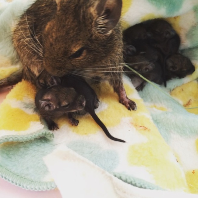 あーやdegu2のカバー写真