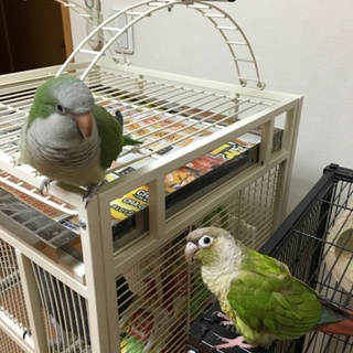 たくさんの応募ありがとうございました。