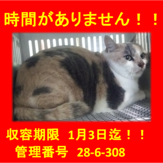 里親決定！！素敵な家族ができました(*´▽｀*)