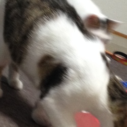 「ふふふ。。。」サムネイル3